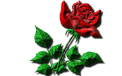 Gif animé amour love you